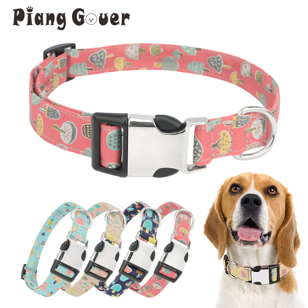 Collar para perro con hongos
