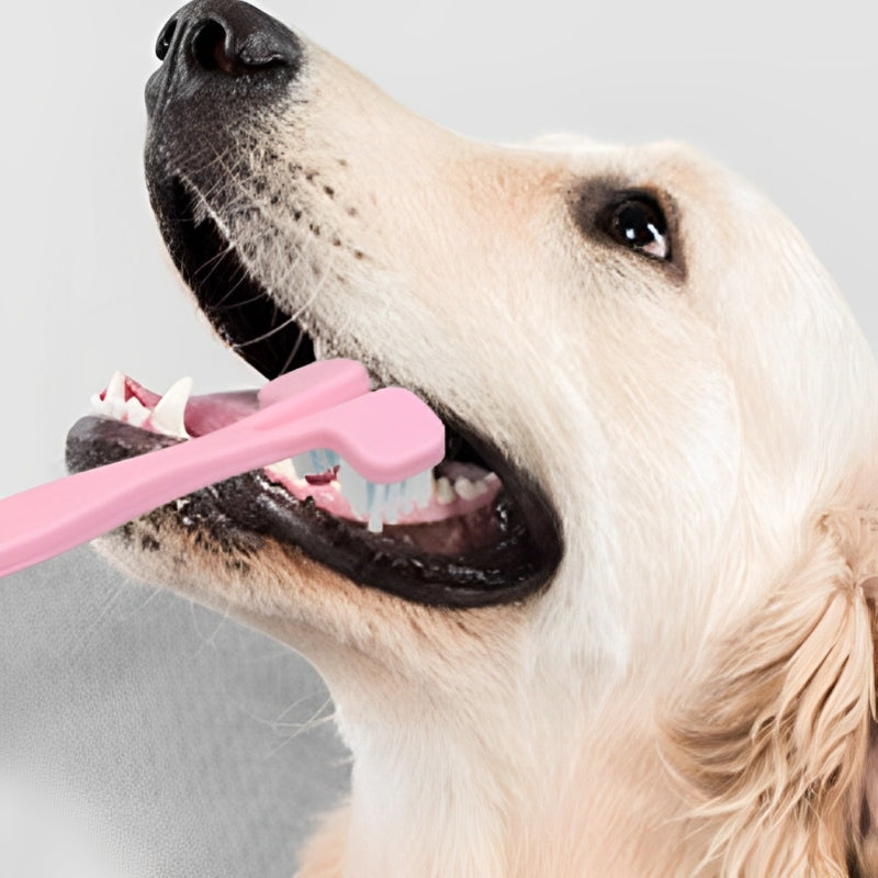 Cepillo de Dientes Doble Cabeza para Perros Cuatro Colores