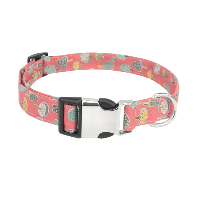 Collar para perro con hongos