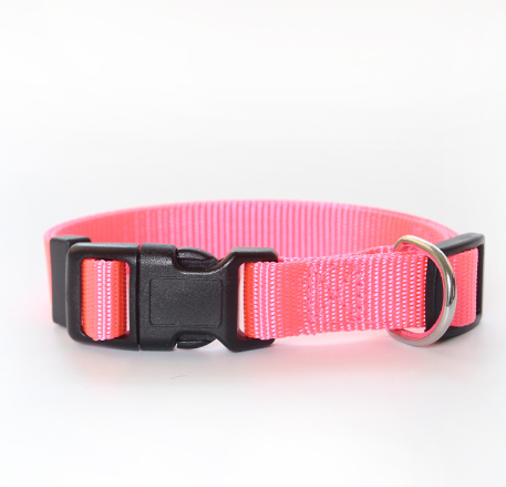 Collar de nylon para perros