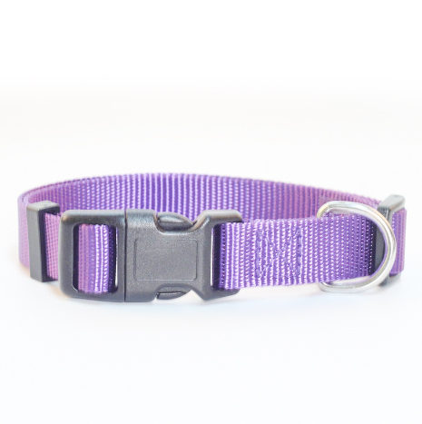 Collar de nylon para perros