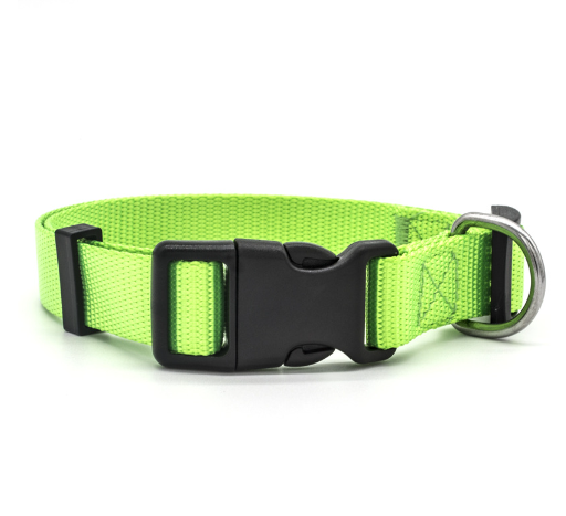 Collar de nylon para perros