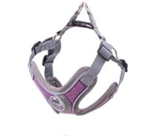 Collar y Correa PET para Perros Pequeños a Medianos