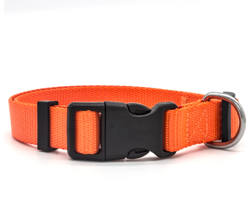 Collar de nylon para perros