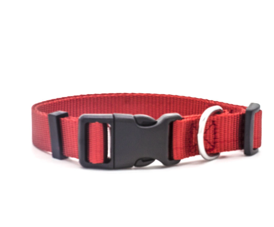 Collar de nylon para perros