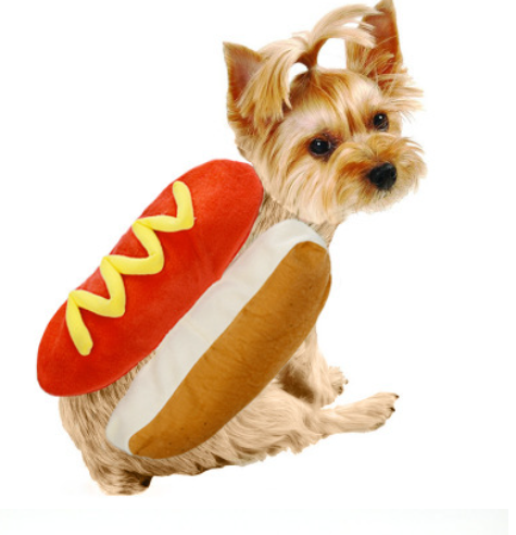 Ropa para Mascotas Hot Dog Burger para Gatos y Perros