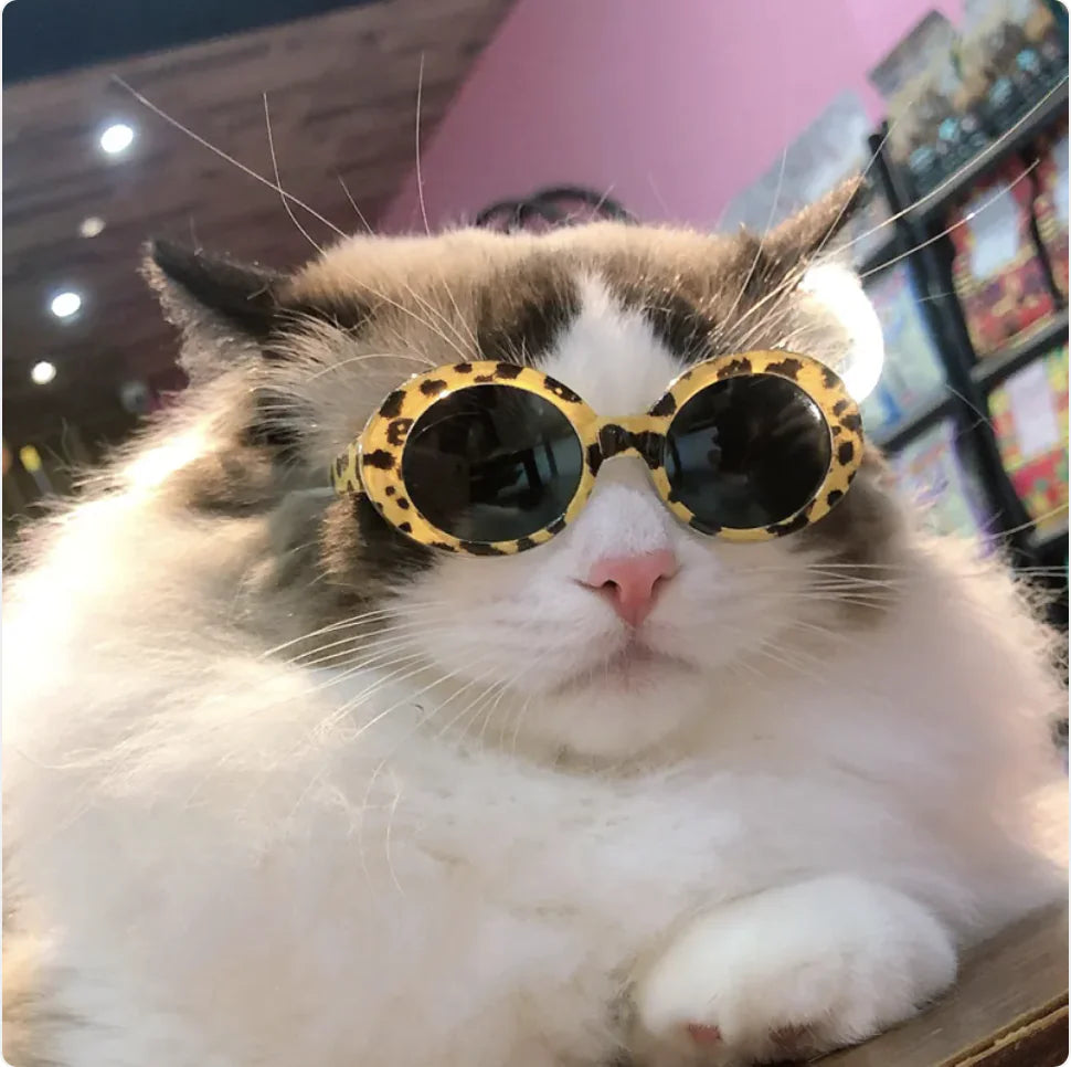 Gafas de Sol Multicolor para Perros y Gatos, Accesorios Guapos y Cool